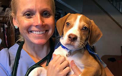 One-on-One with HousePaws: Dr Dana