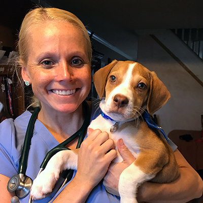 One-on-One with HousePaws: Dr Dana