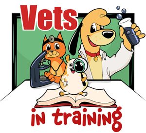 Vets In Training
