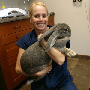 Dr Dana with rabbit patient.